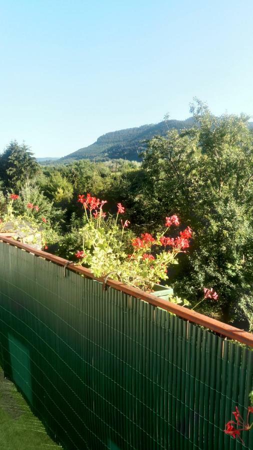 Au Gre Des Sentiers Chez Marie Et Pierre Bed & Breakfast Saint-Die-des-Vosges Eksteriør bilde