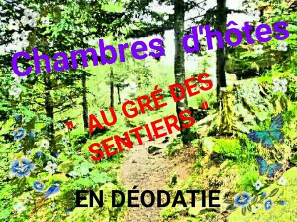 Au Gre Des Sentiers Chez Marie Et Pierre Bed & Breakfast Saint-Die-des-Vosges Eksteriør bilde